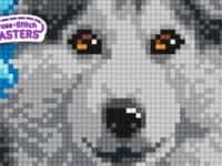 Cross Stitch Masters