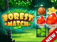 Forest Match