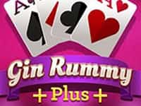 Gin Rummy Plus