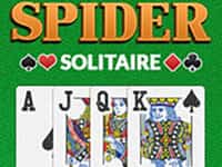 Spider Solitaire Big