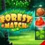 Forest Match