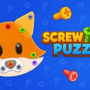 Screw Jam Puzzle